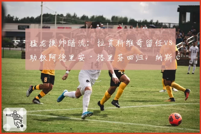 猛龙换帅暗流：拉贾科维奇留任vs助教阿德里安·格里芬回归，纳斯遗产之争