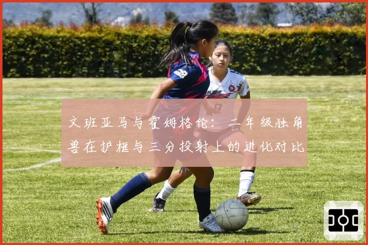 文班亚马与霍姆格伦:二年级独角兽在护框与三分投射上的进化对比