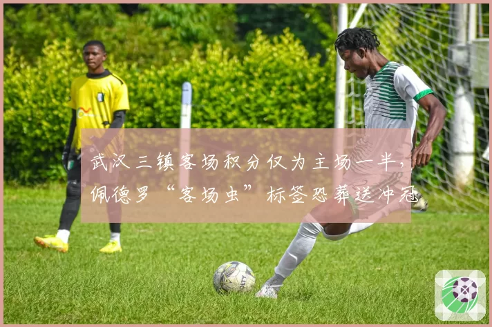 武汉三镇客场积分仅为主场一半，佩德罗“客场虫”标签恐葬送冲冠希望