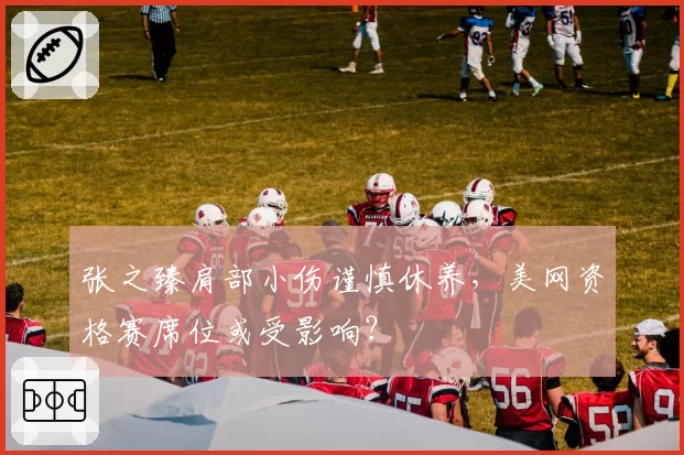 张之臻肩部小伤谨慎休养,美网资格赛席位或受影响?
